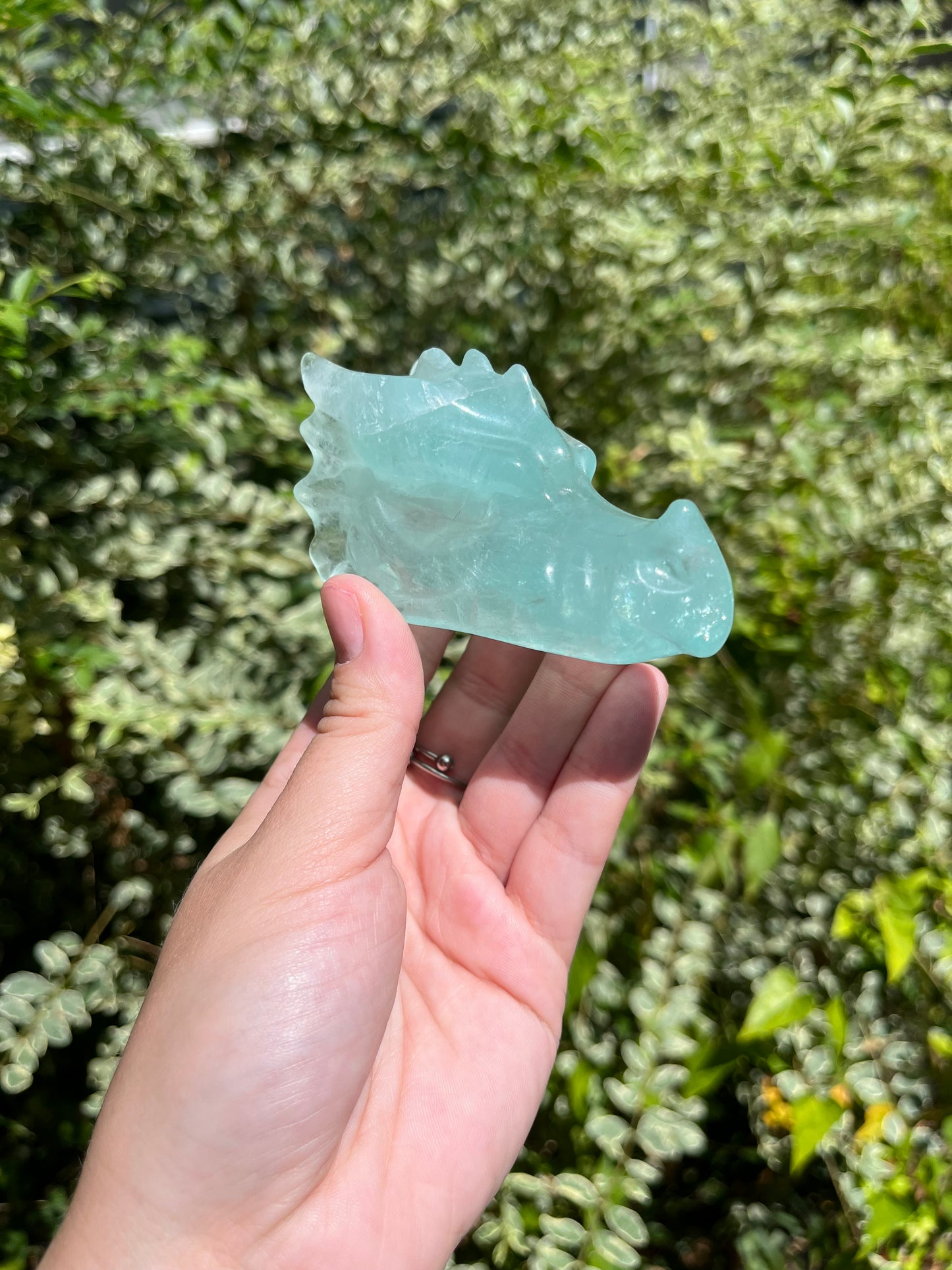 Fluorite Dragon Head