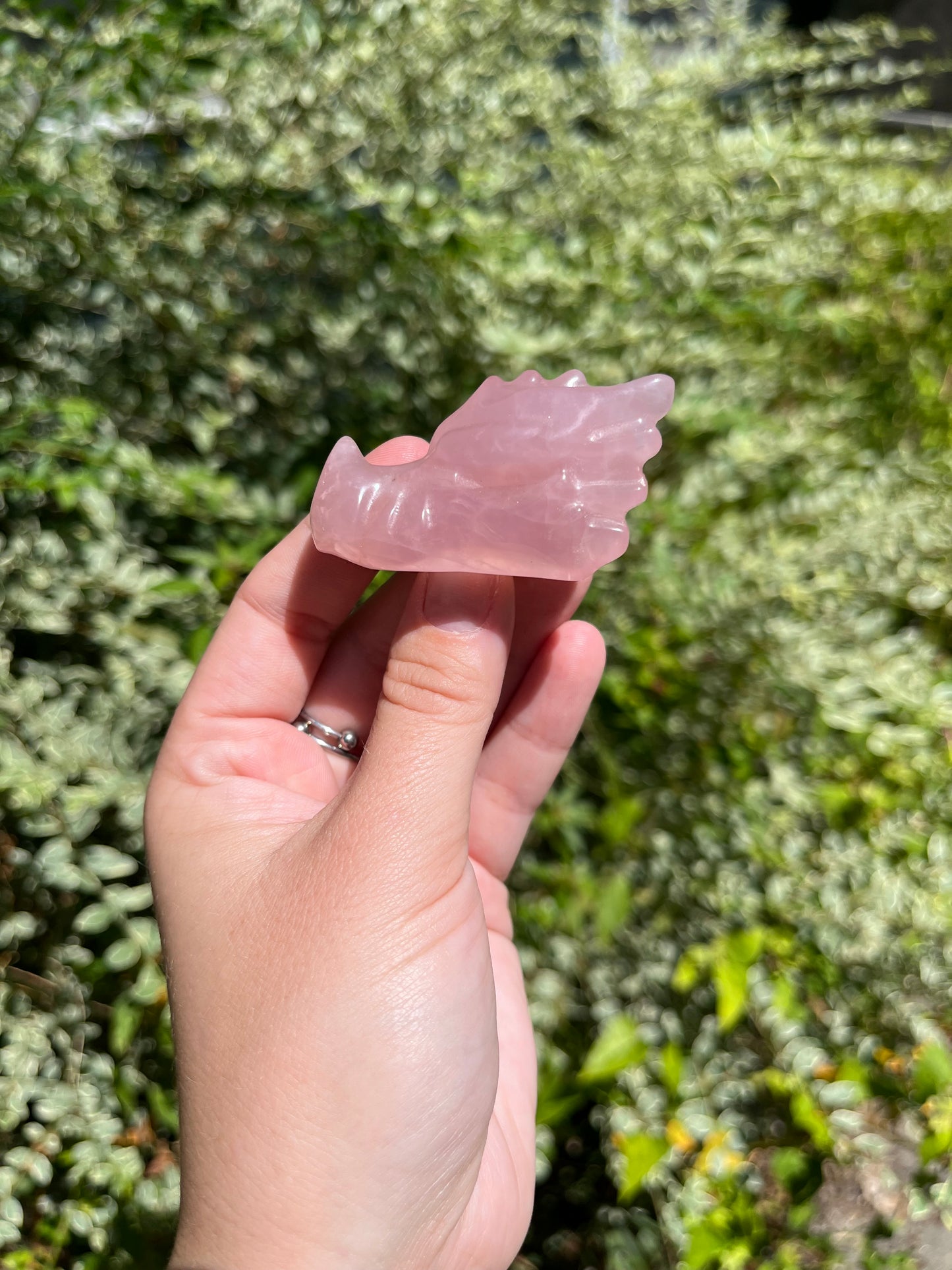 Rose Quartz Dragon Heads