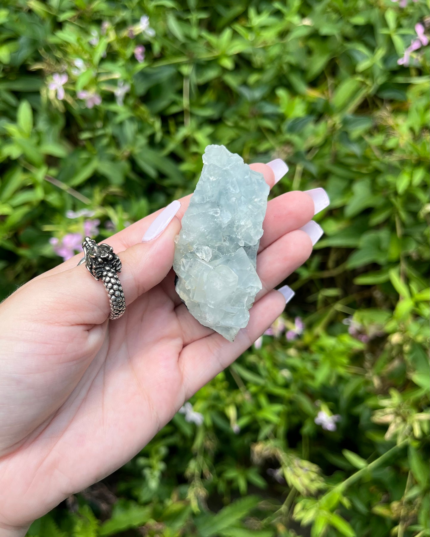 Apophyllite Clusters