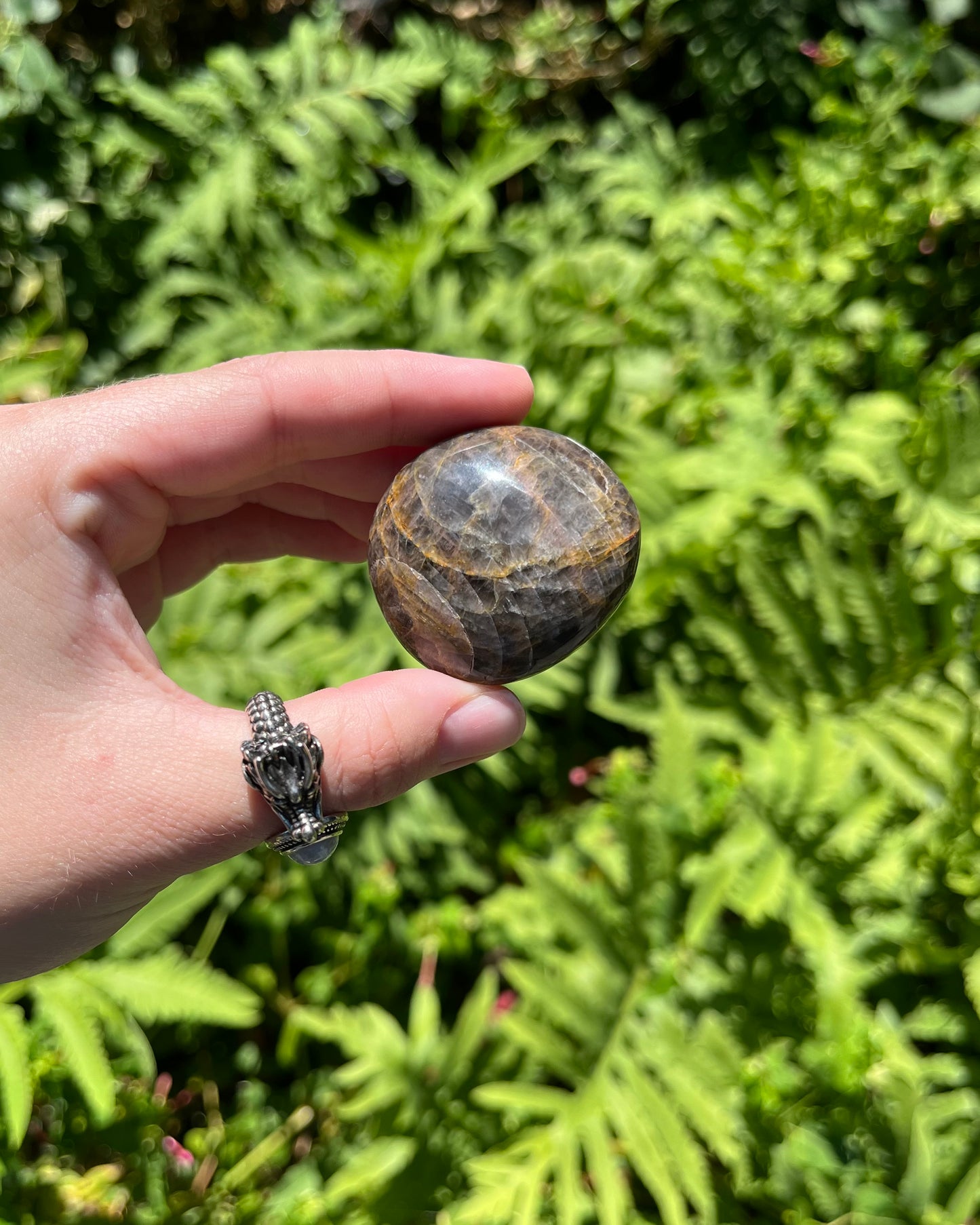 Black Moonstone Palm Stones