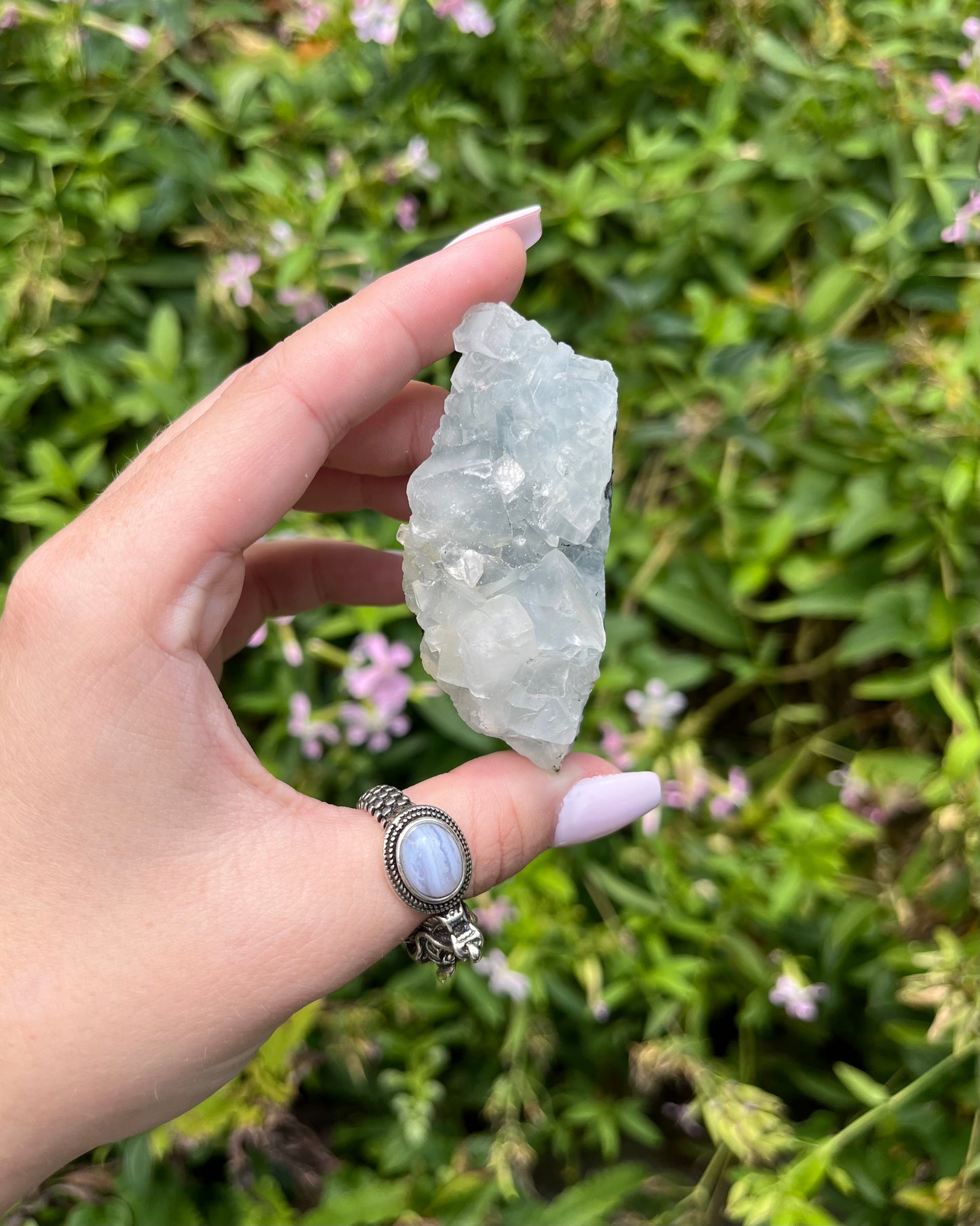 Apophyllite Clusters