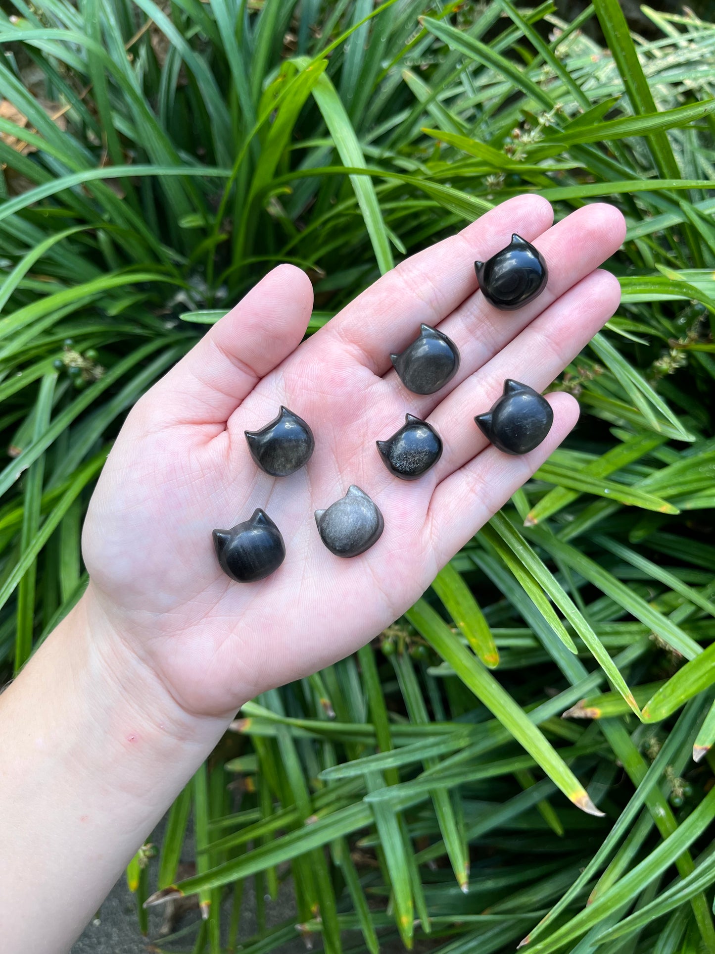 Mini Obsidian Cats