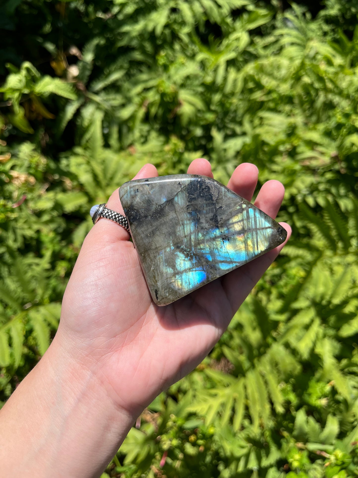 Labradorite Freeforms