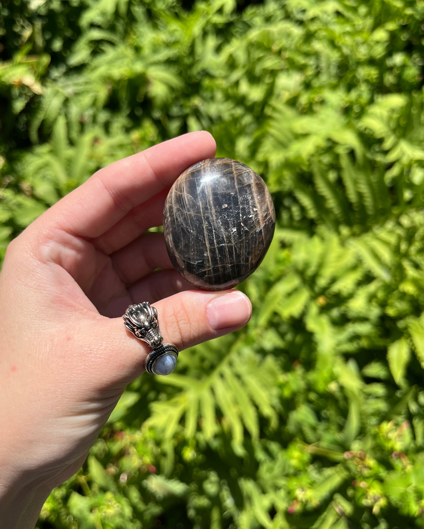 Black Moonstone Palm Stones