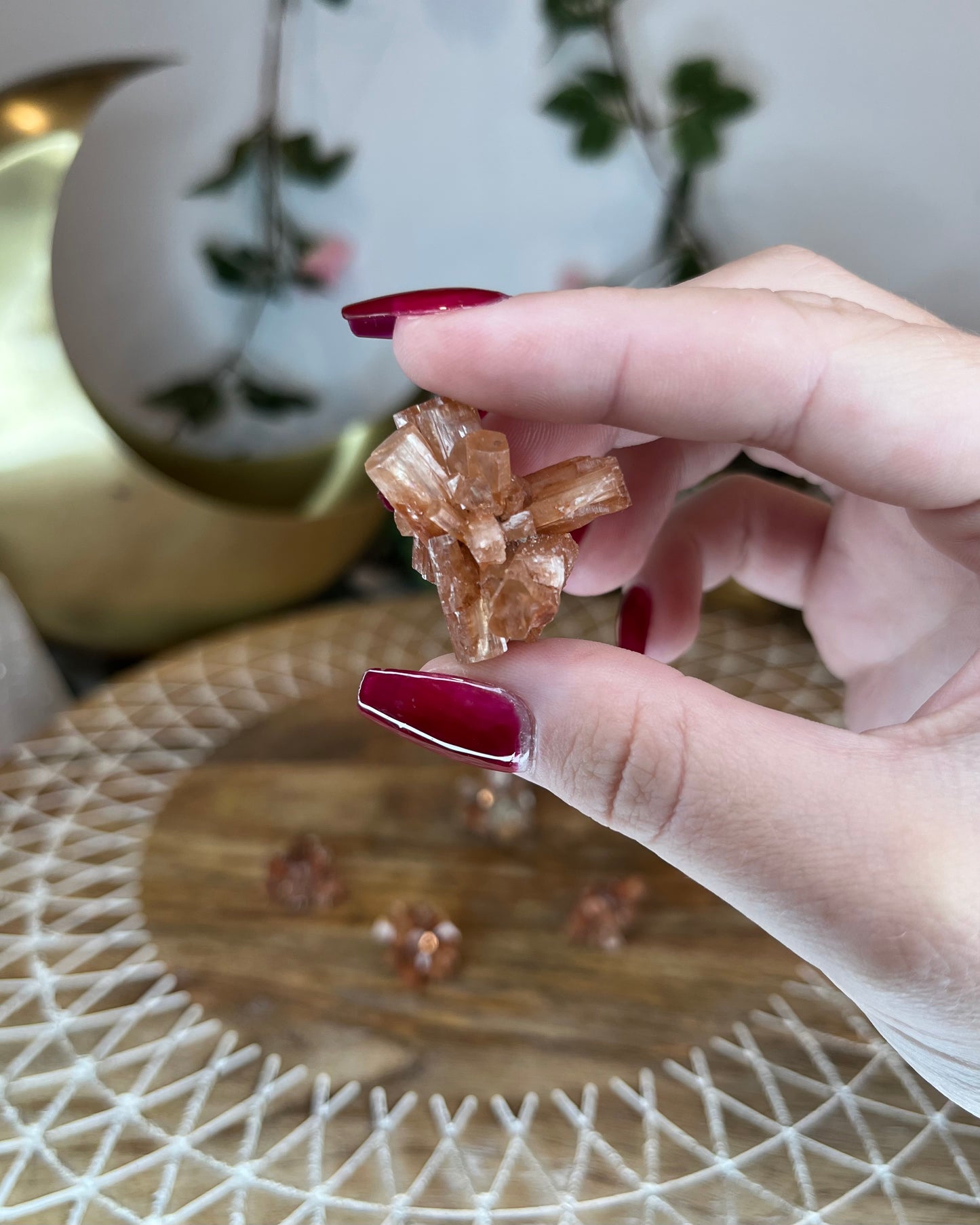 Mini Aragonite Clusters