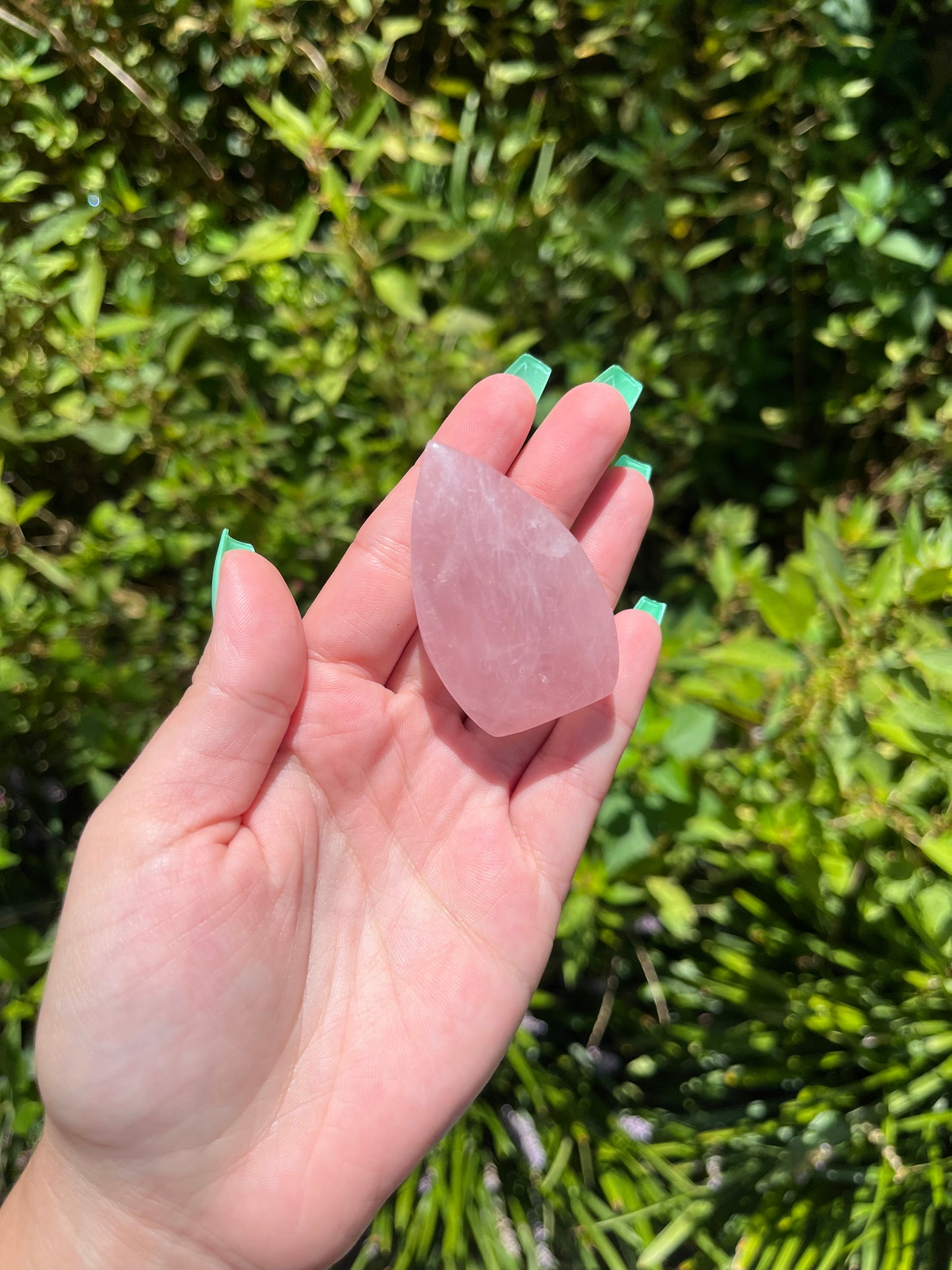 Rose Quartz Teardrops