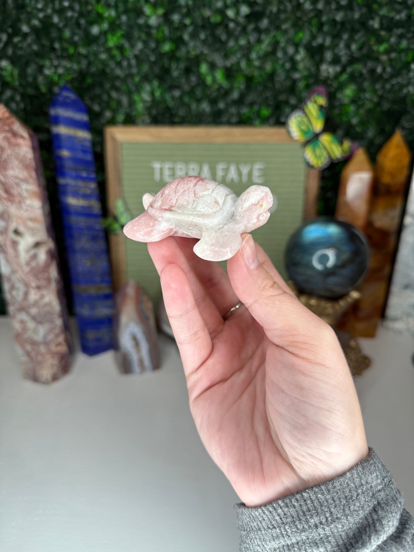 Pink Opal Turtle