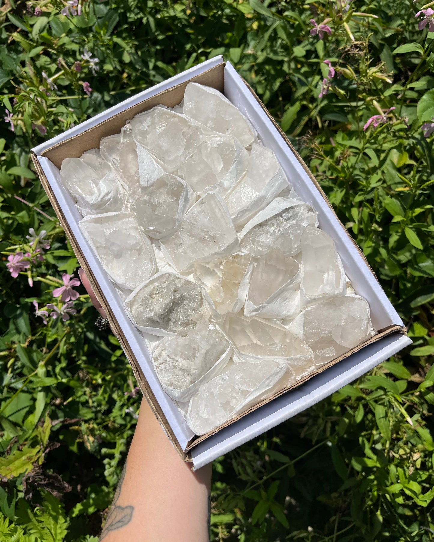 Clear Quartz Clusters