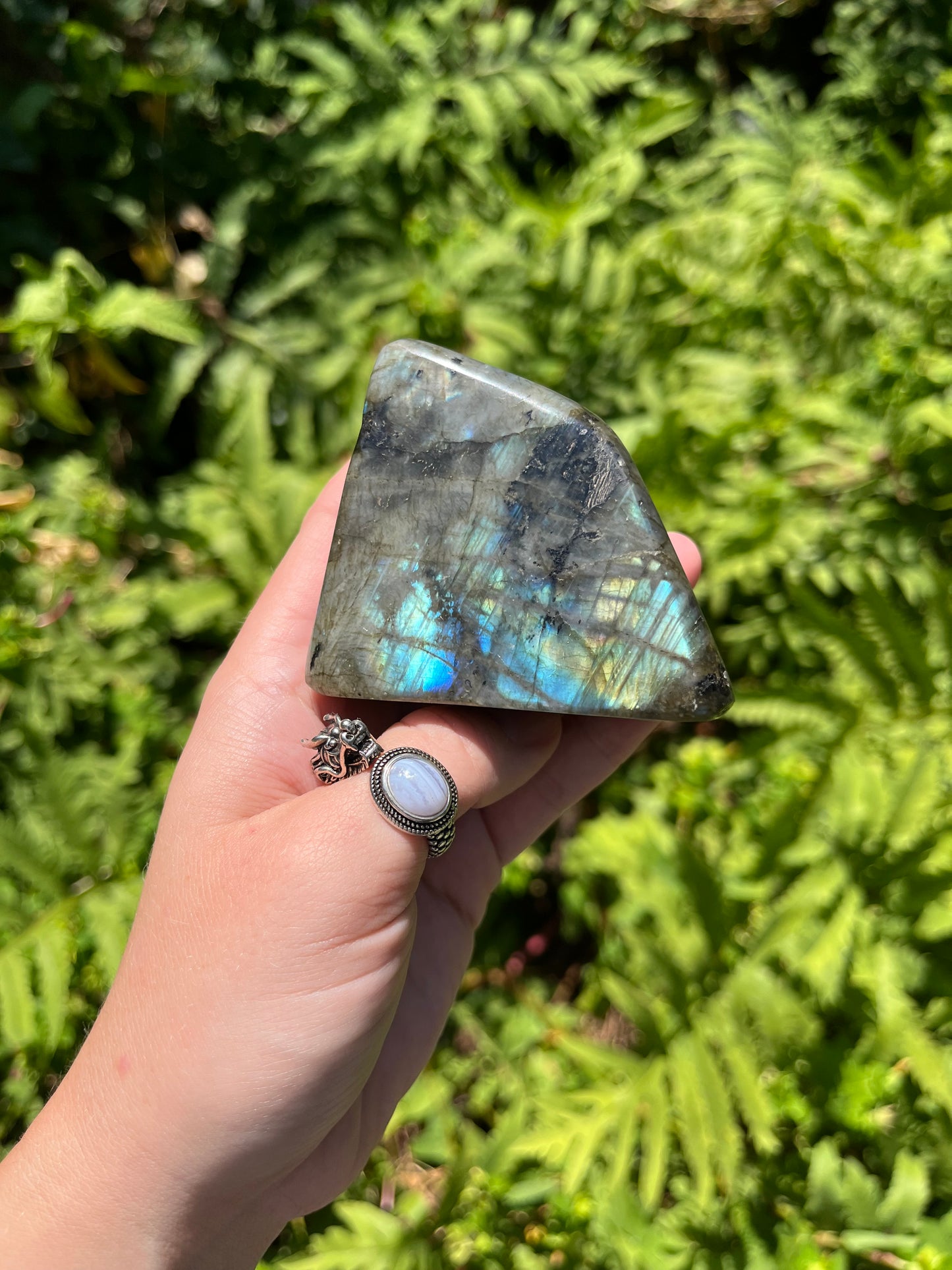 Labradorite Freeforms