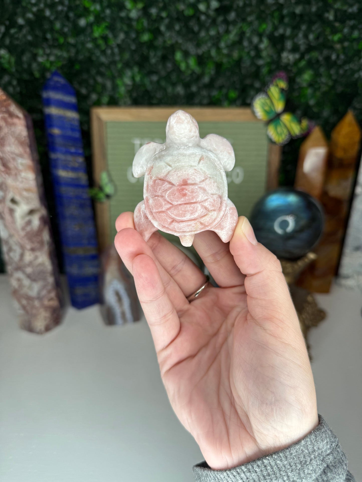 Pink Opal Turtle