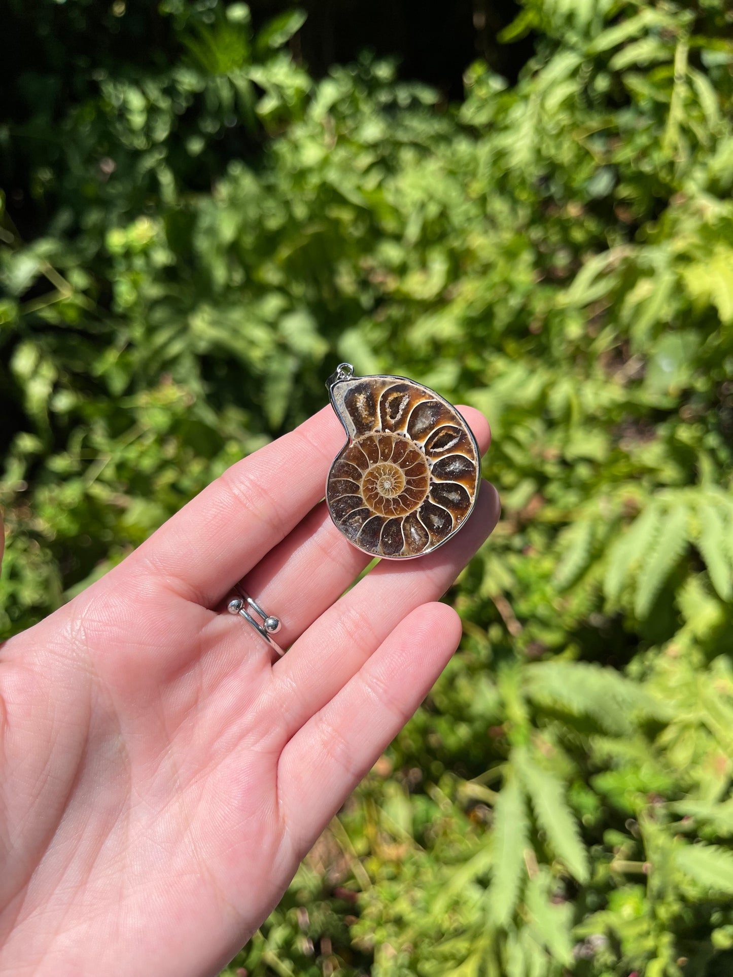 Ammonite Necklaces