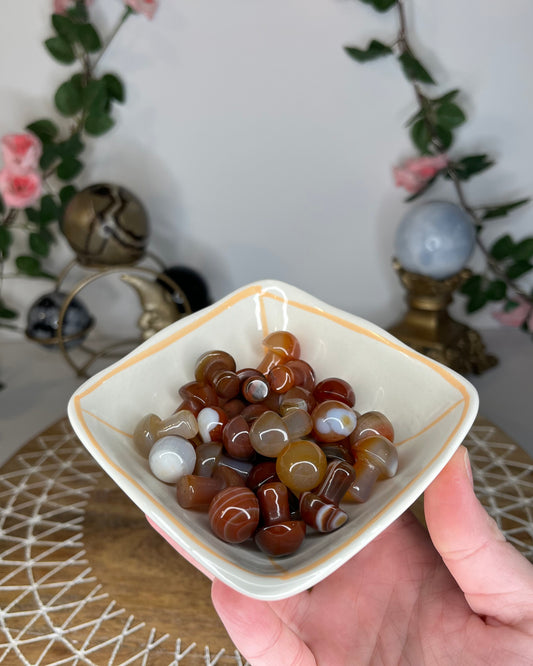 Carnelian Mushies